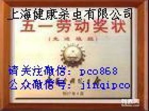 上海灭白蚁全攻略 专业服务与家庭防护指南